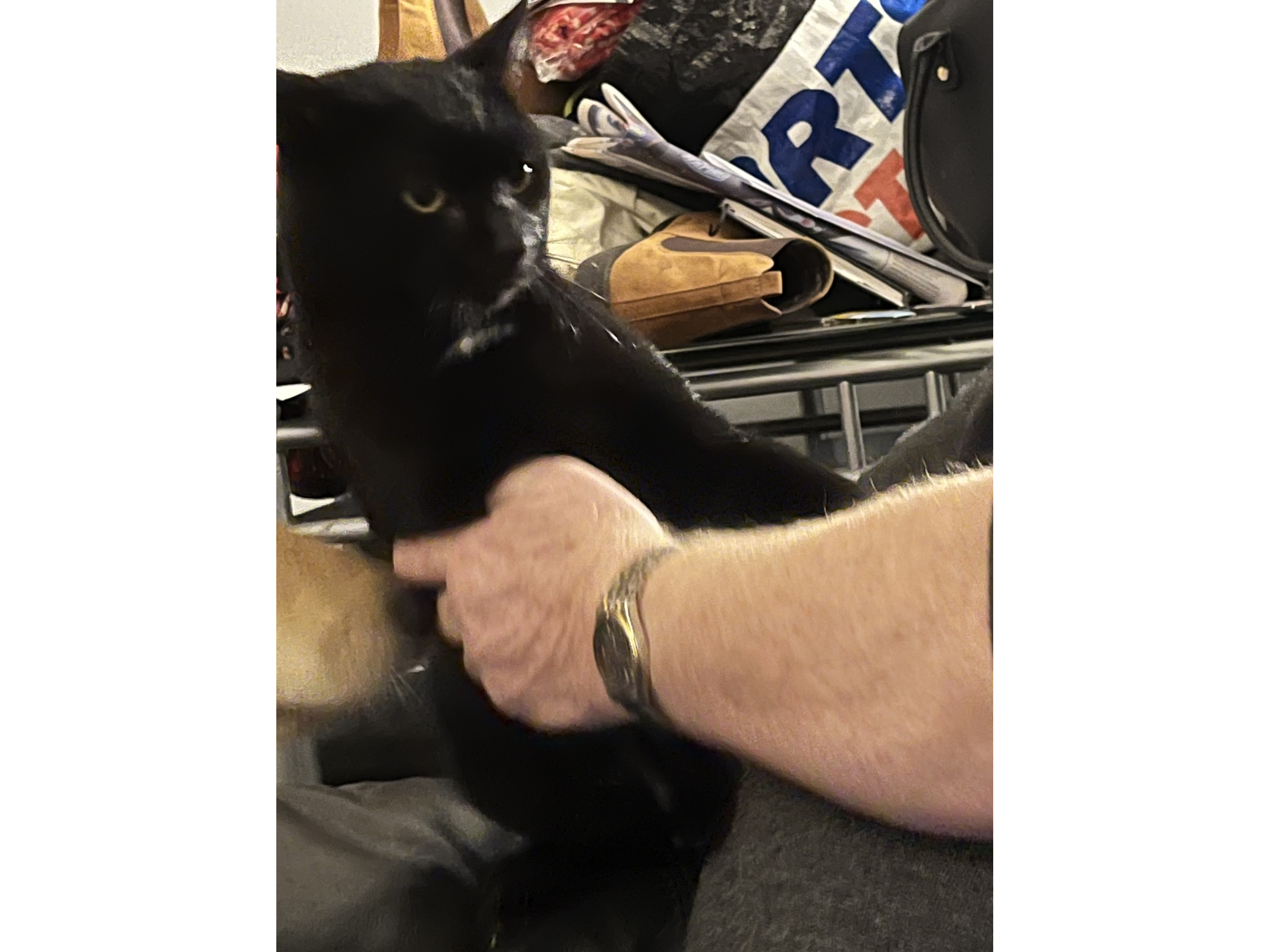 Murphy