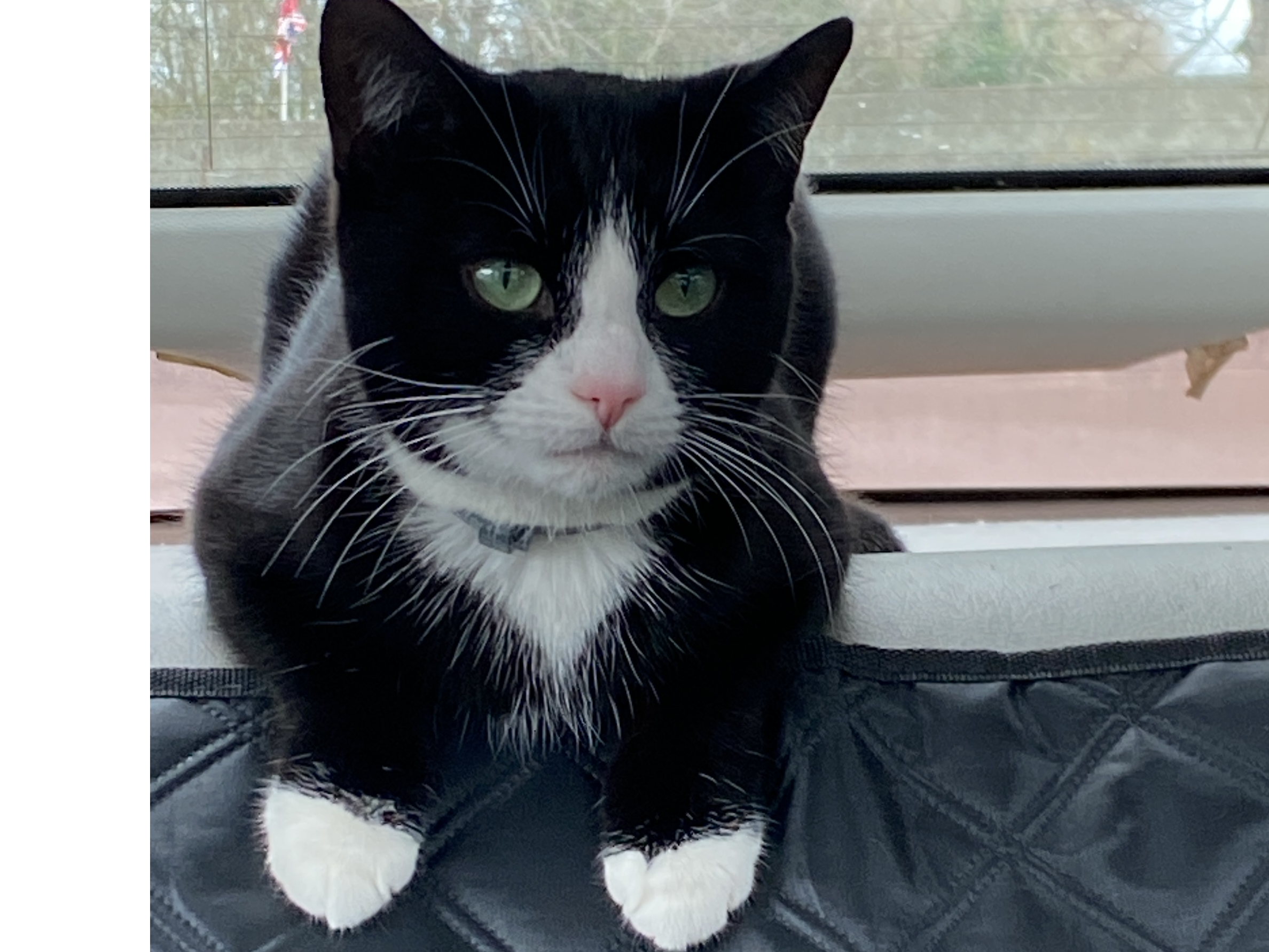 Black/white, Arbury