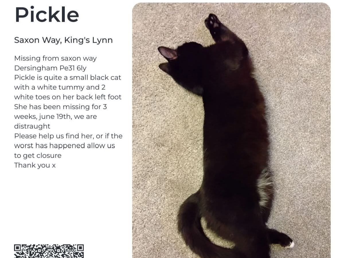 Pickle
