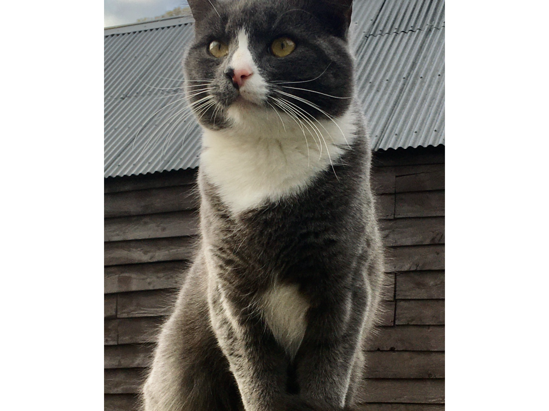 Sid